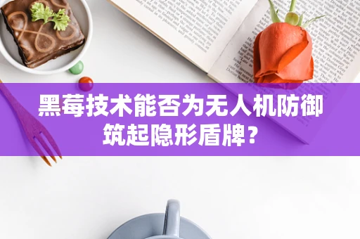 黑莓技术能否为无人机防御筑起隐形盾牌？