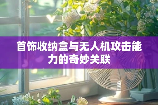 首饰收纳盒与无人机攻击能力的奇妙关联