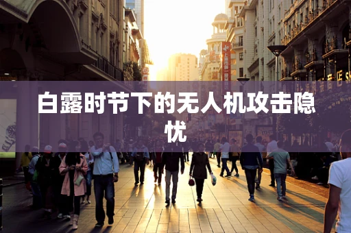 白露时节下的无人机攻击隐忧