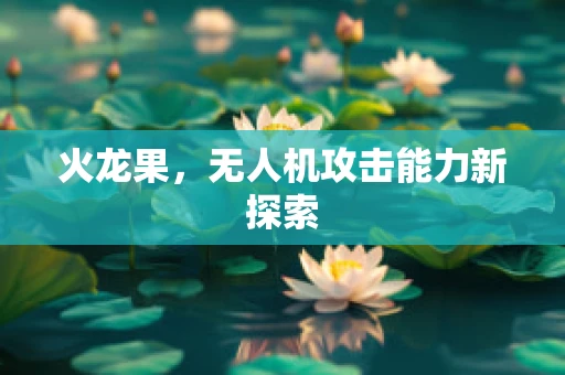 火龙果，无人机攻击能力新探索
