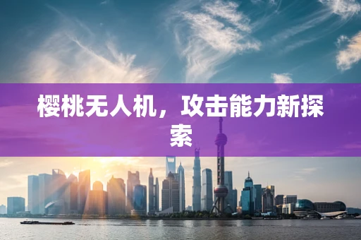 樱桃无人机，攻击能力新探索