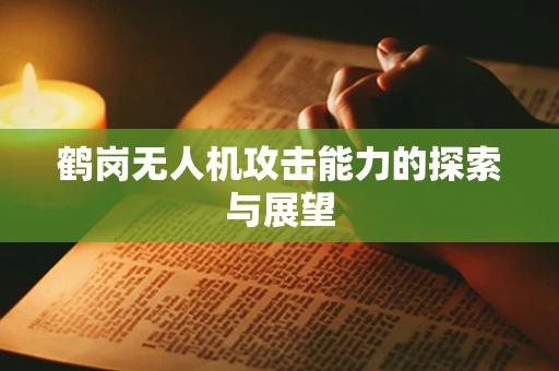 鹤岗无人机攻击能力的探索与展望