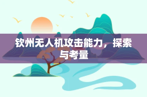 钦州无人机攻击能力，探索与考量