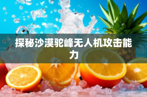 探秘沙漠驼峰无人机攻击能力