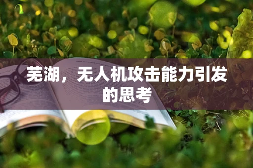 芜湖，无人机攻击能力引发的思考