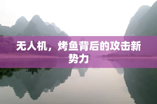 无人机，烤鱼背后的攻击新势力