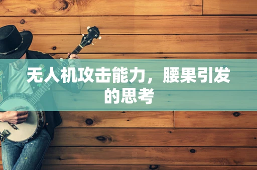 无人机攻击能力，腰果引发的思考